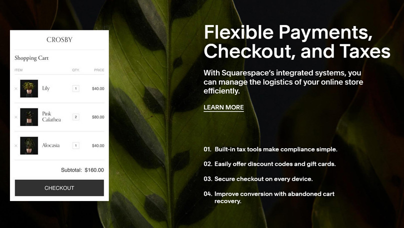 Squarespace Payments