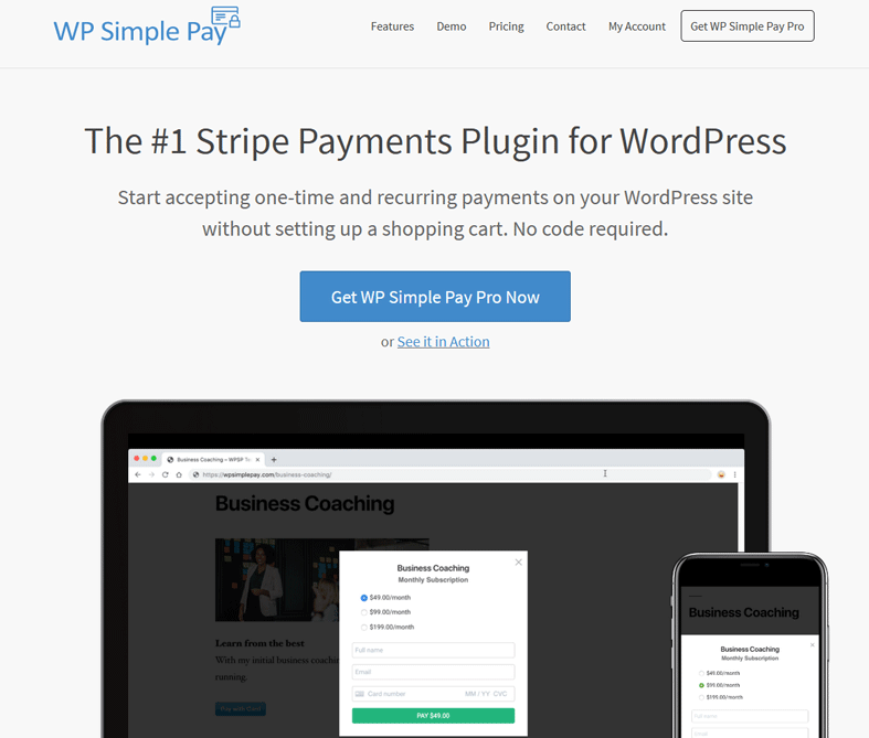 WP Simple Pay Homepage