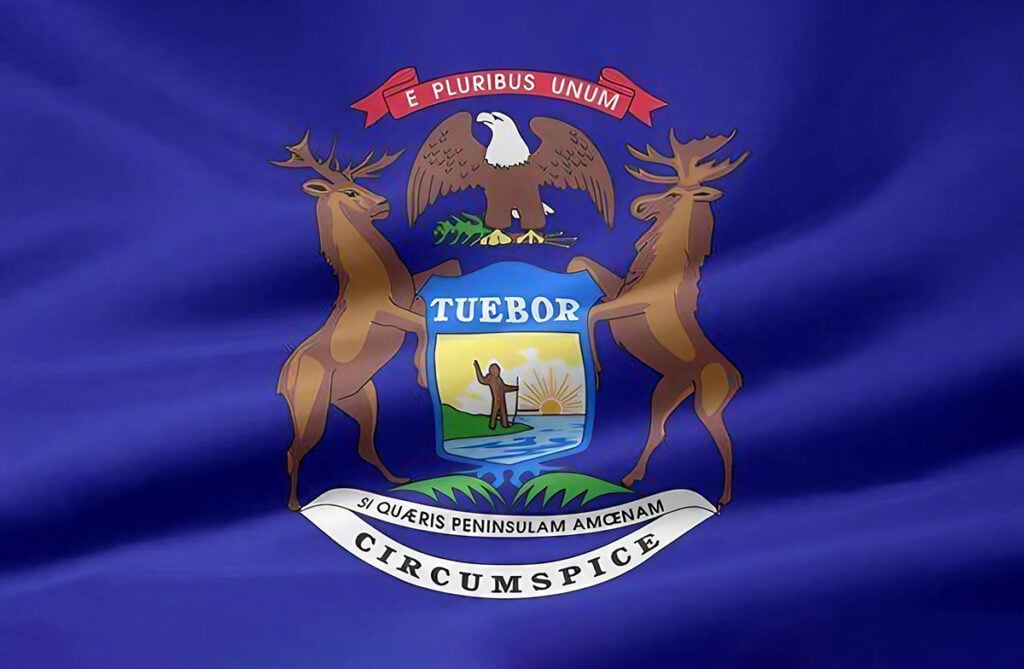 Michigan Digital Gaming Brings in $313M During February 2026